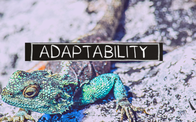 November 14 Newsletter – Adaptability