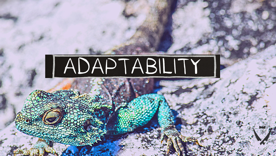 November 14 Newsletter – Adaptability